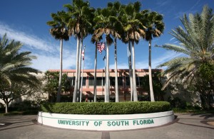 New Tampa Nanny USF Campus